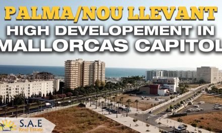 Descubre Nou Llevant: La Guía Completa del Barrio Emergente de Palma de Mallorca
